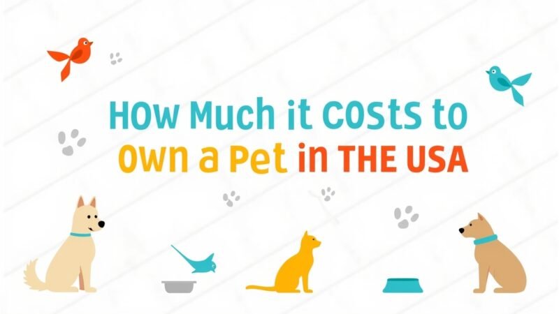 How Much It Costs to Own a Pet in the USA